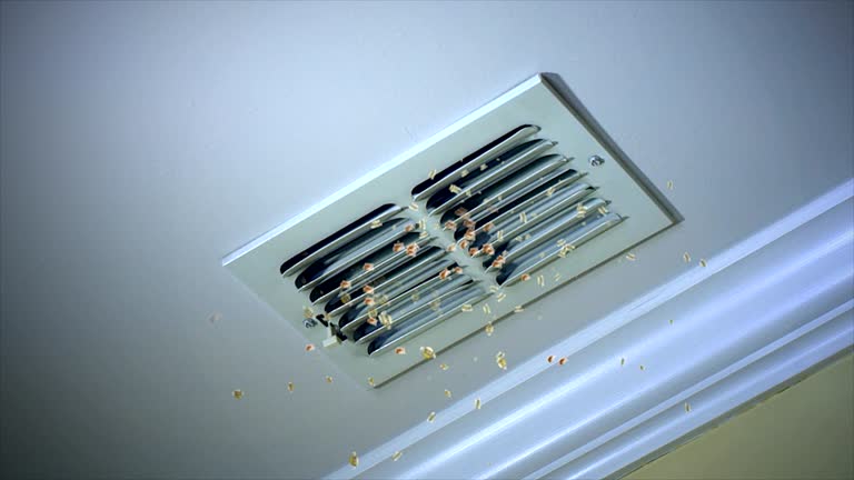 Best Best Air Duct Cleaning Company  in Mount Pocono, PA